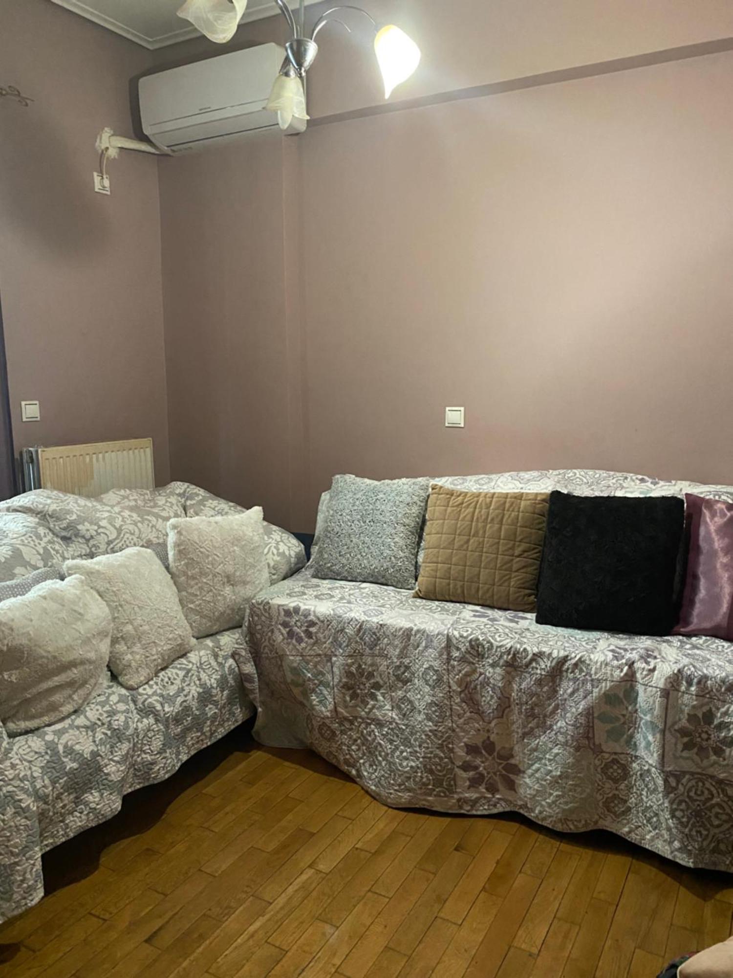 Apartment With Barbecue 1 Km Beach アテネ エクステリア 写真